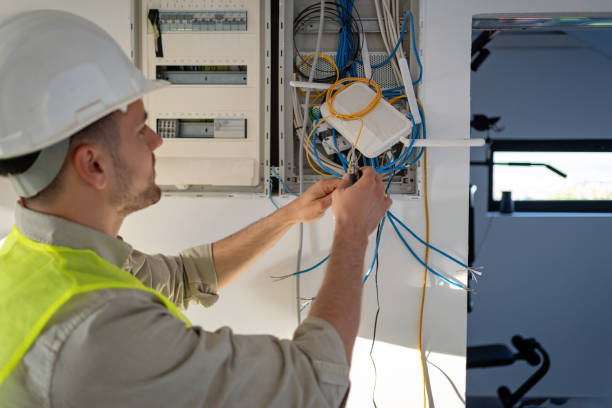 Best Electric Panel Repair  in Fennimore, WI